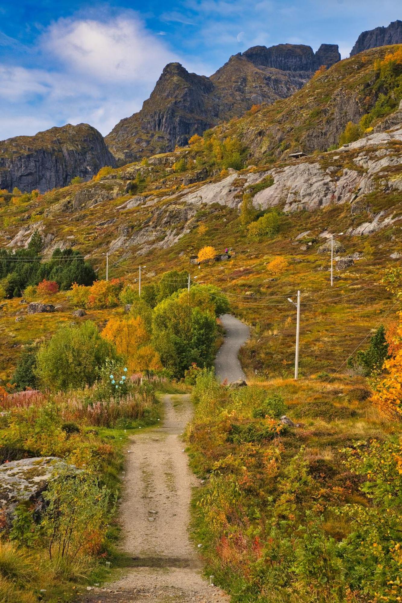 Lofoten Planet Studio Sørvågen Eksteriør bilde